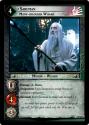 •Saruman, Many-coloured Wizard (D)